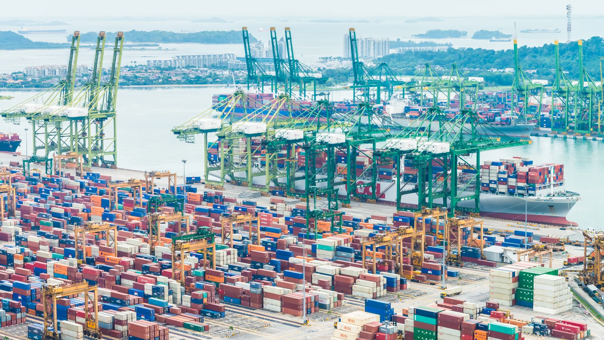 Global Expansion: Exporting Cut Wire Shots